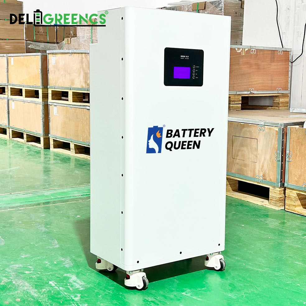 Free Shipping- Battery Box 51.2V Lifepo4 Power Bank Built In BMS No Active Balancer