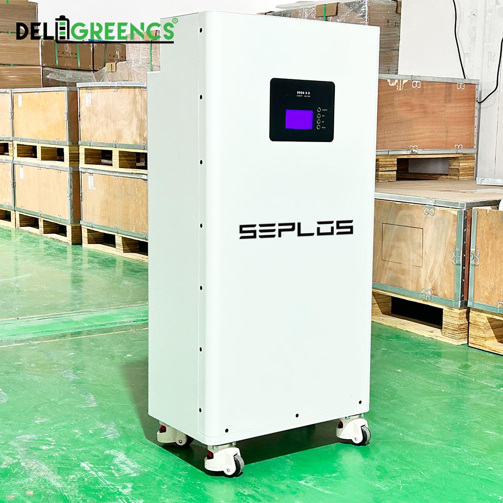 Free Shipping& Free Tax& With Cells - Seplos 3.0 Battery Pack 51.2V Power Bank Lifepo4 With Active Balancer Built In BMS