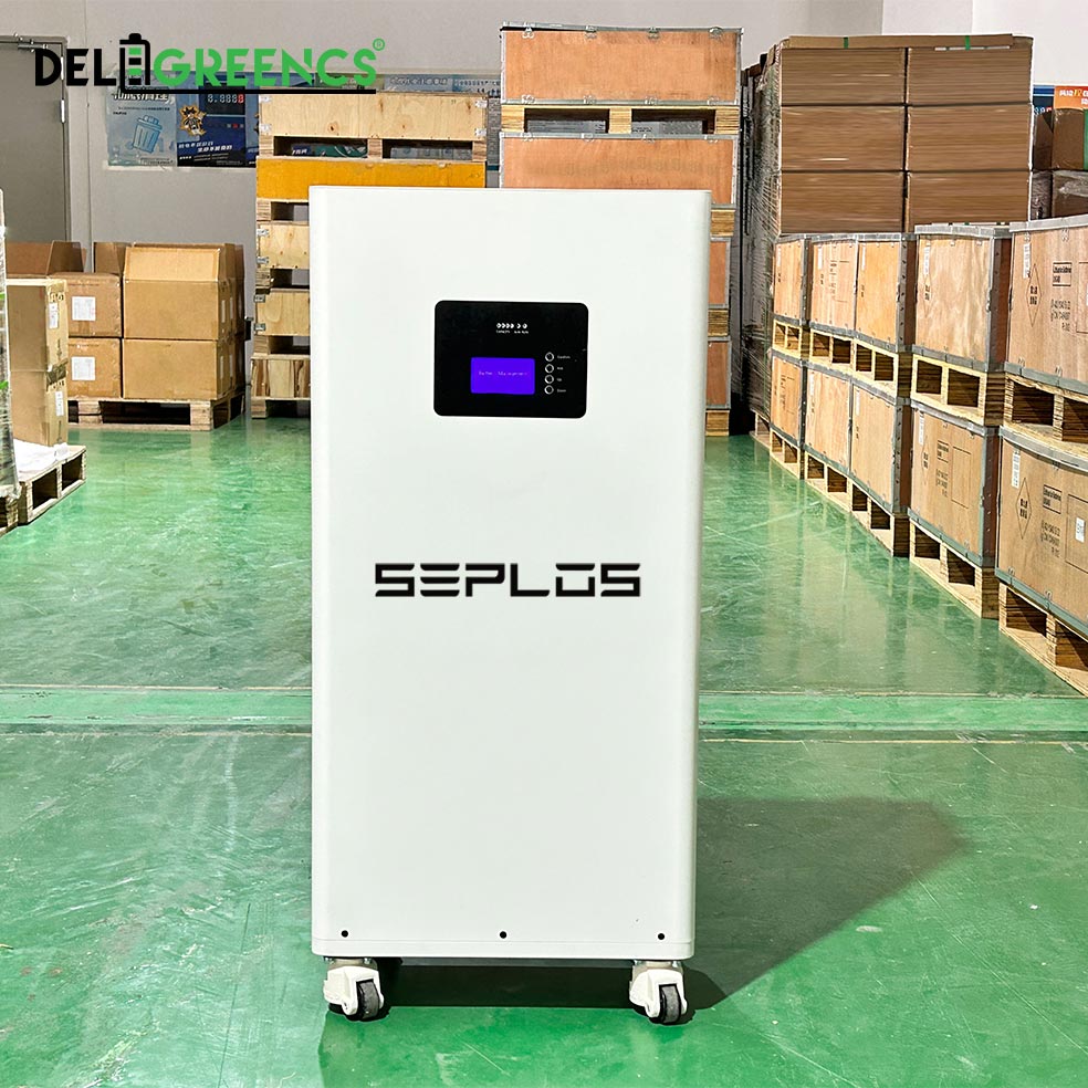 Free Shipping& Free Tax& With Cells - Seplos 3.0 Battery Pack 51.2V Power Bank Lifepo4 With Active Balancer Built In BMS