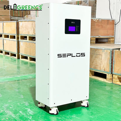 Free Shipping- Seplos 3.0 Battery Pack 51.2V Power Bank Lifepo4 With Active Balancer Built In BMS