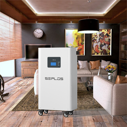 Free Shipping- Seplos 3.0 Battery Pack 51.2V Power Bank Lifepo4 With Active Balancer Built In BMS