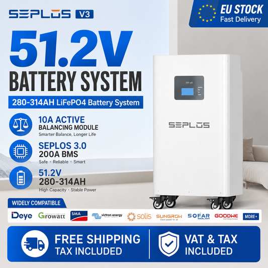 Seplos V3 With Cells - Battery Pack 51.2V Power Bank Lifepo4 Diy Kit With Active Balancer Built In BMS