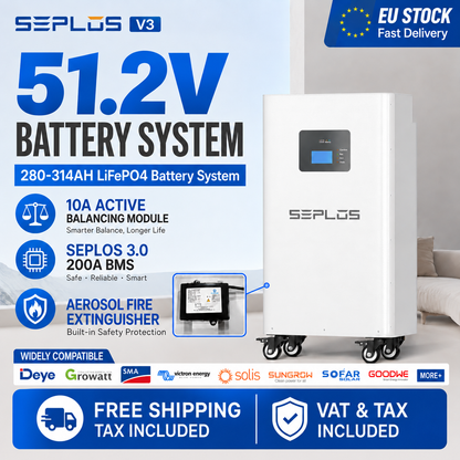 Seplos V3 With Cells -  Seplos 51.2V 314Ah LiFePO4 DIY Battery Kit – New Version with Fire Extinguisher 200A BMS, 10A Active Balancer
